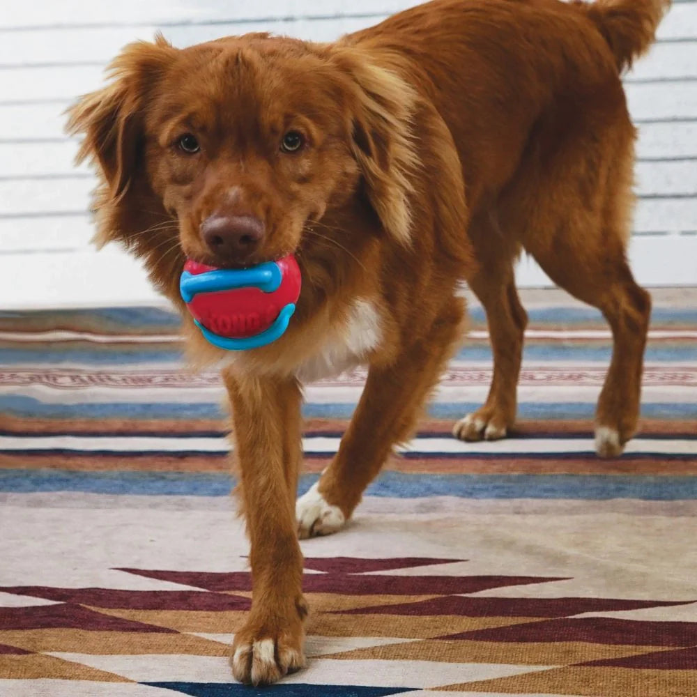 KONG Jaxx Brights Ball Hundleksak