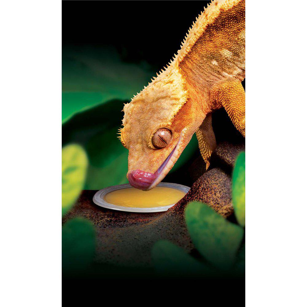 Crested Gecko Food 50gr 4st Exoterra