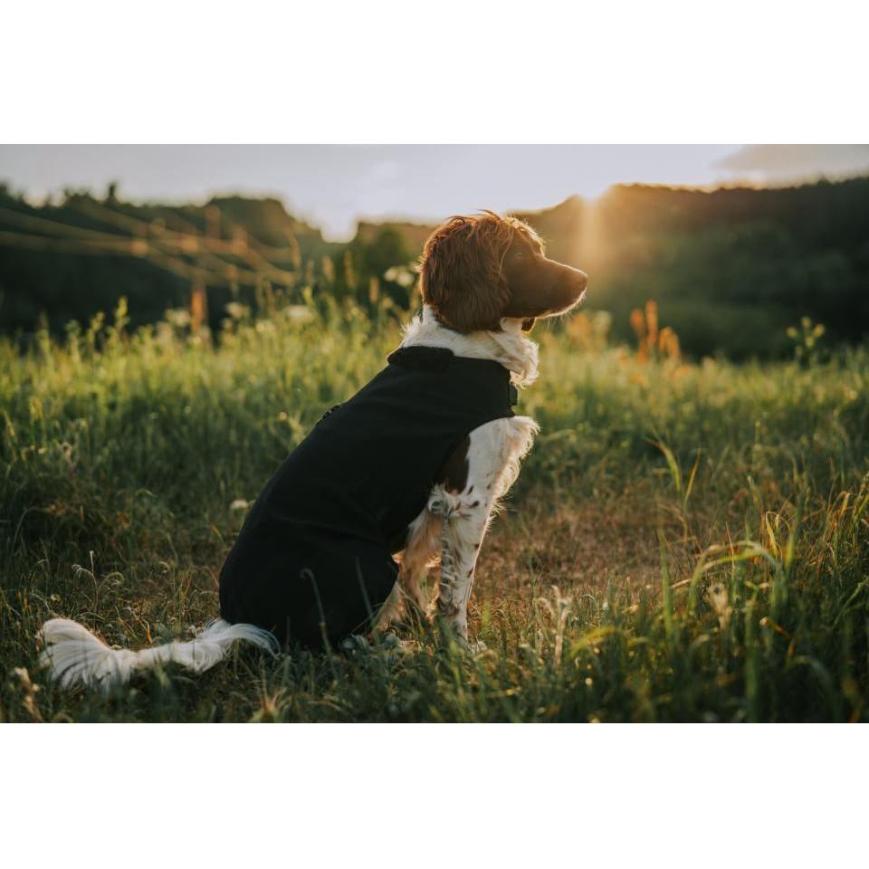 CATAGO Hybrid hundfilt