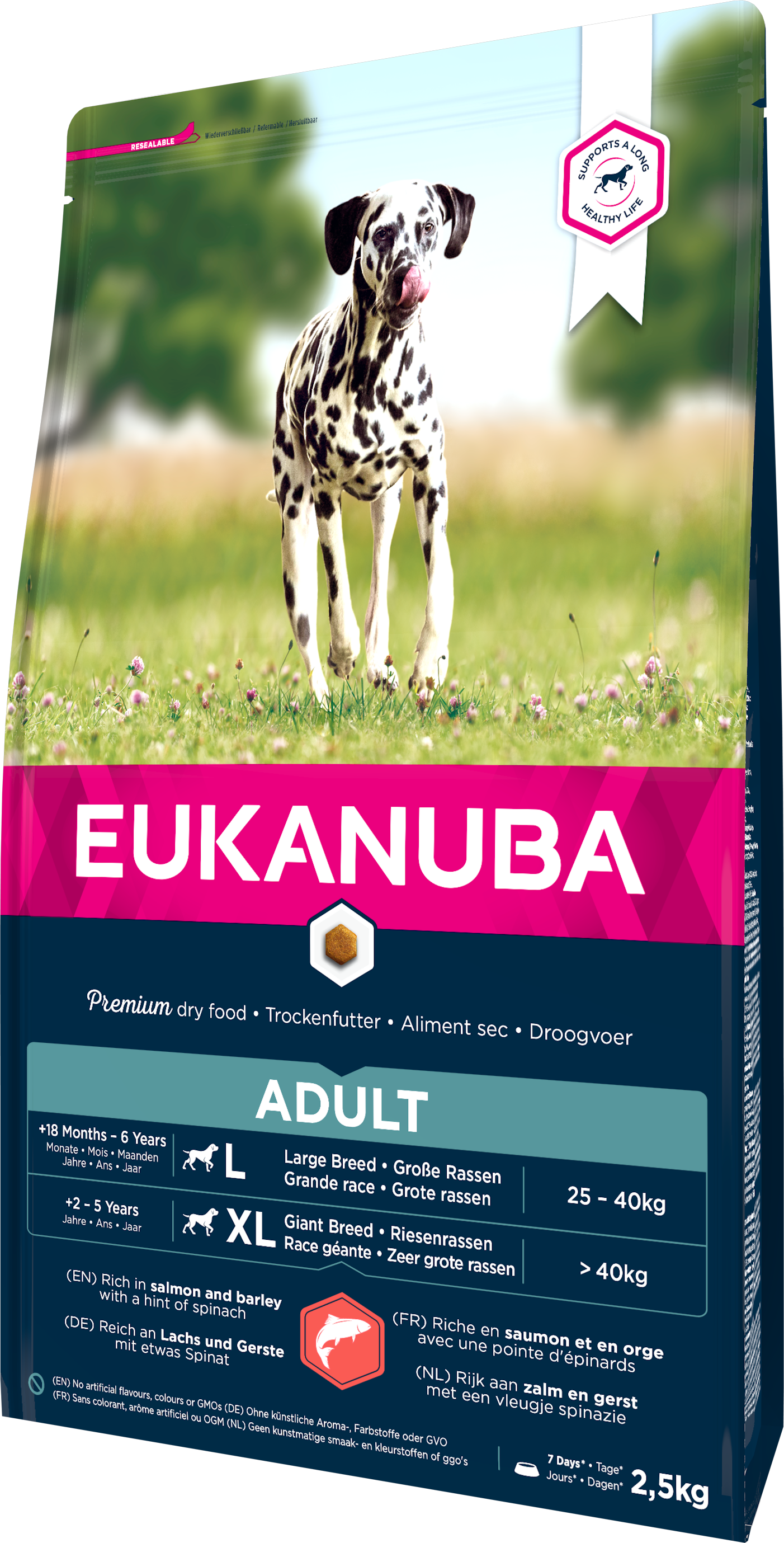 Eukanuba Dog Adult Large Salmon & Barley - Torrfoder Hund