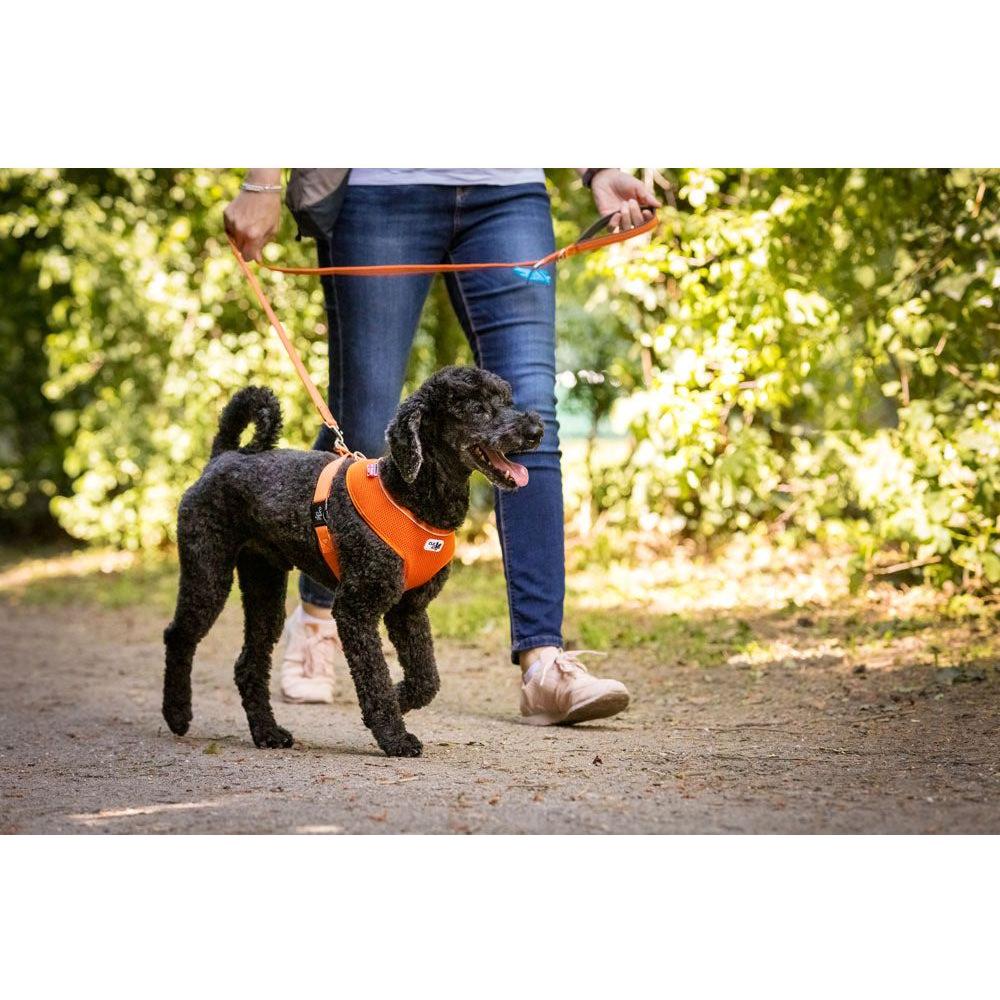 Curli Basic Hundsele Air-Mesh Rosa