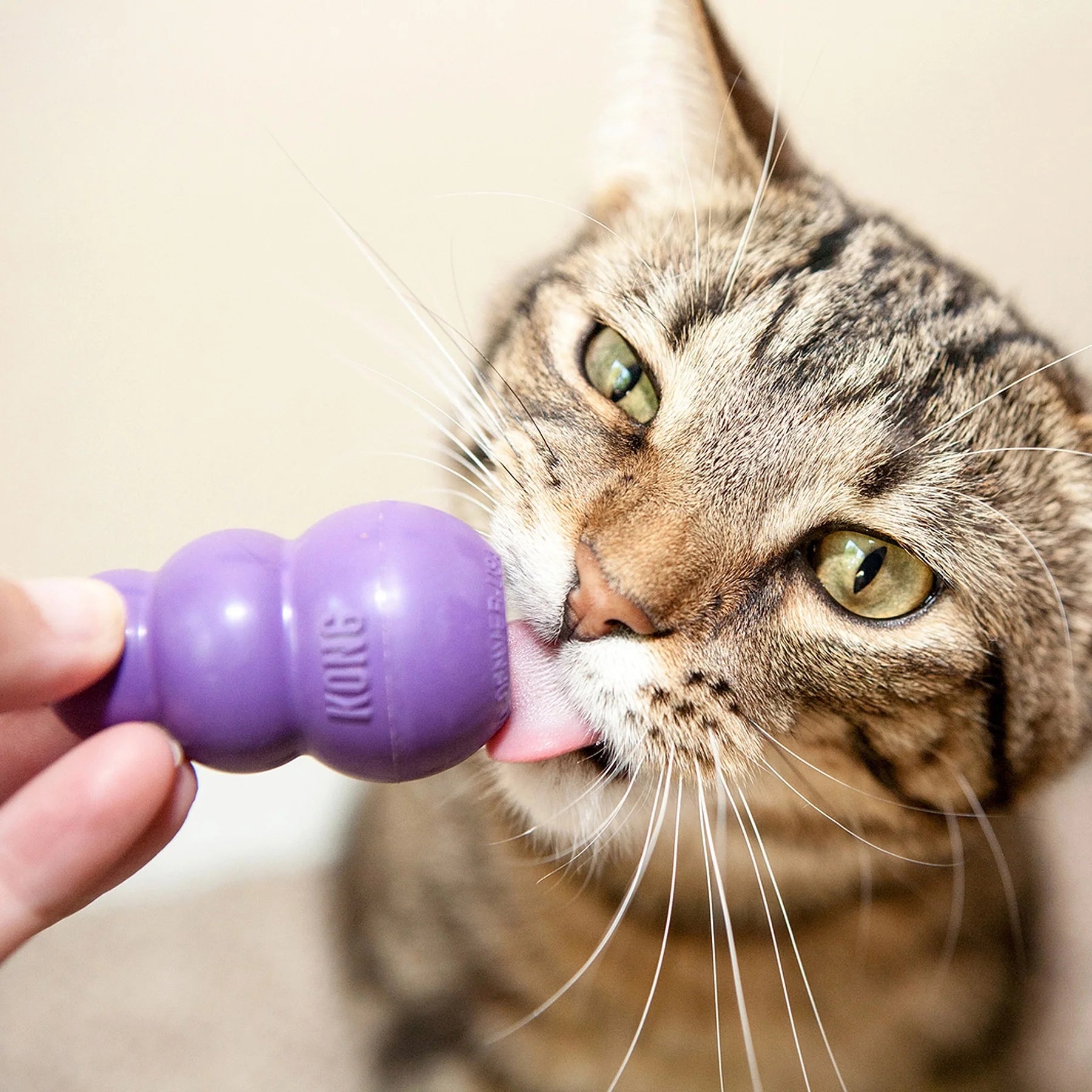 KONG Leksak Kong Kitty