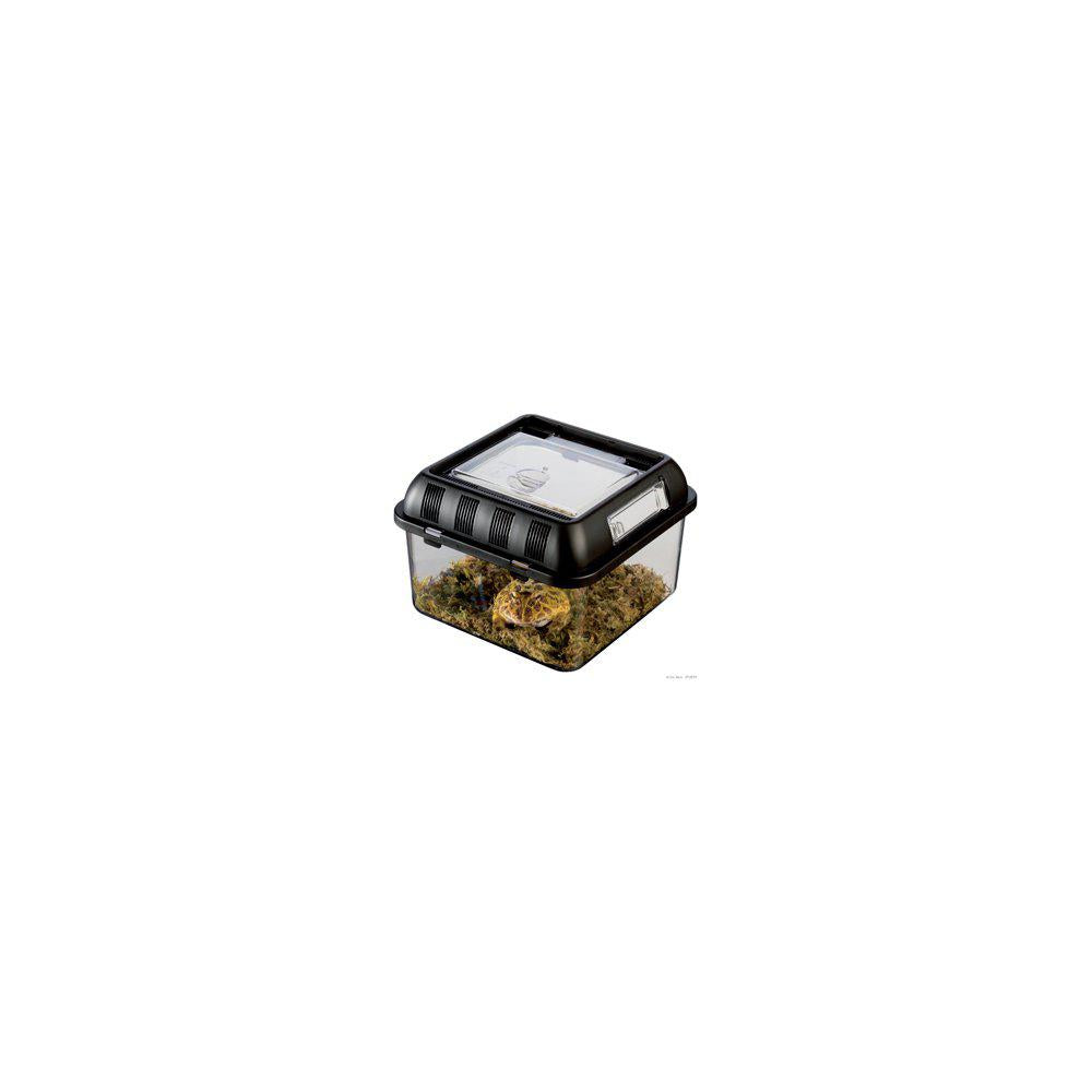 Plast Terrarie Breeding Box