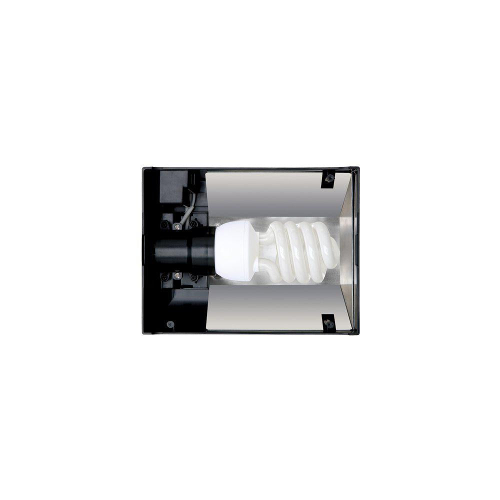 Ramp Exoterra Compact Top
