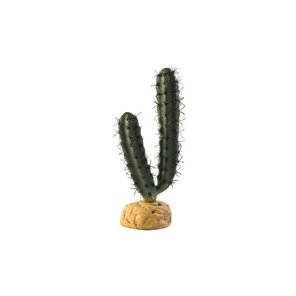 Fingerkaktus Ökenväxt Exoterra