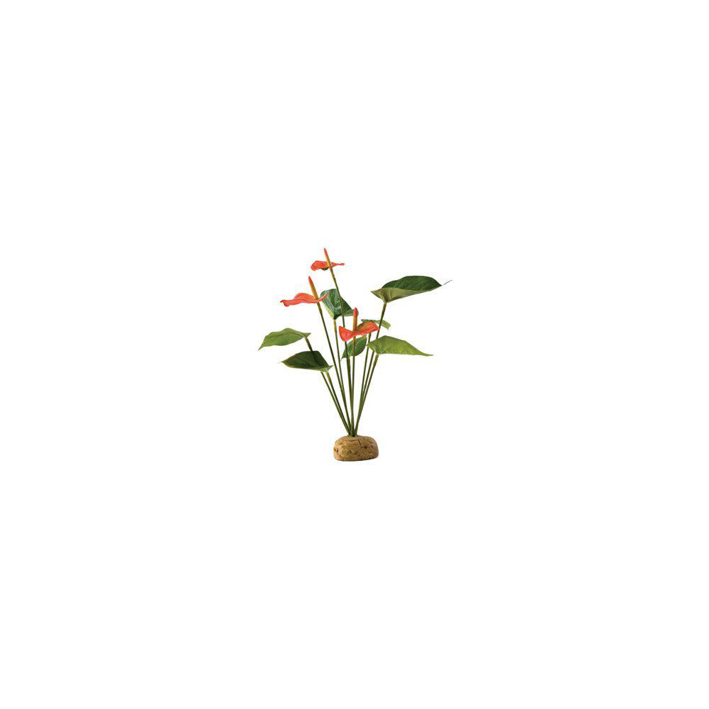 Flamingo Regnskogsväxt Exoterra