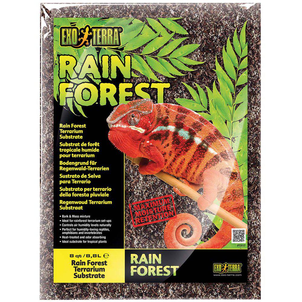 Rain Forest Substrate