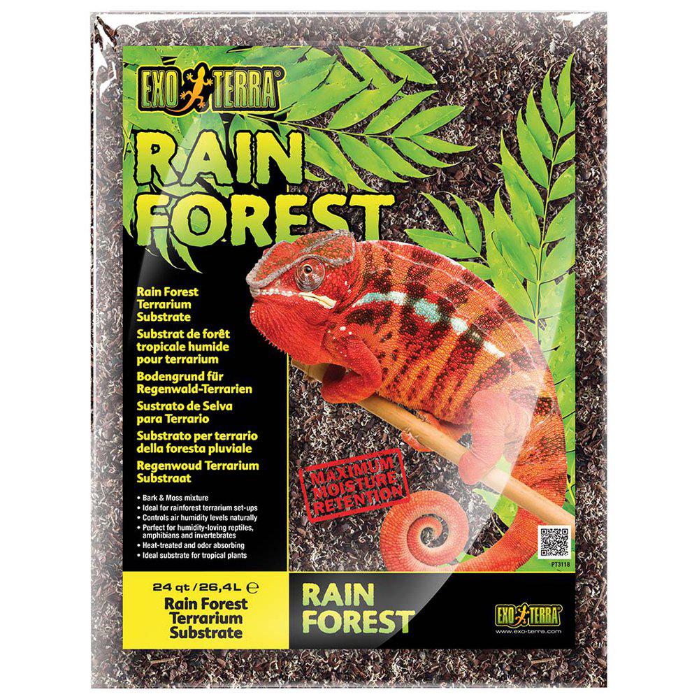 Rain Forest Substrate
