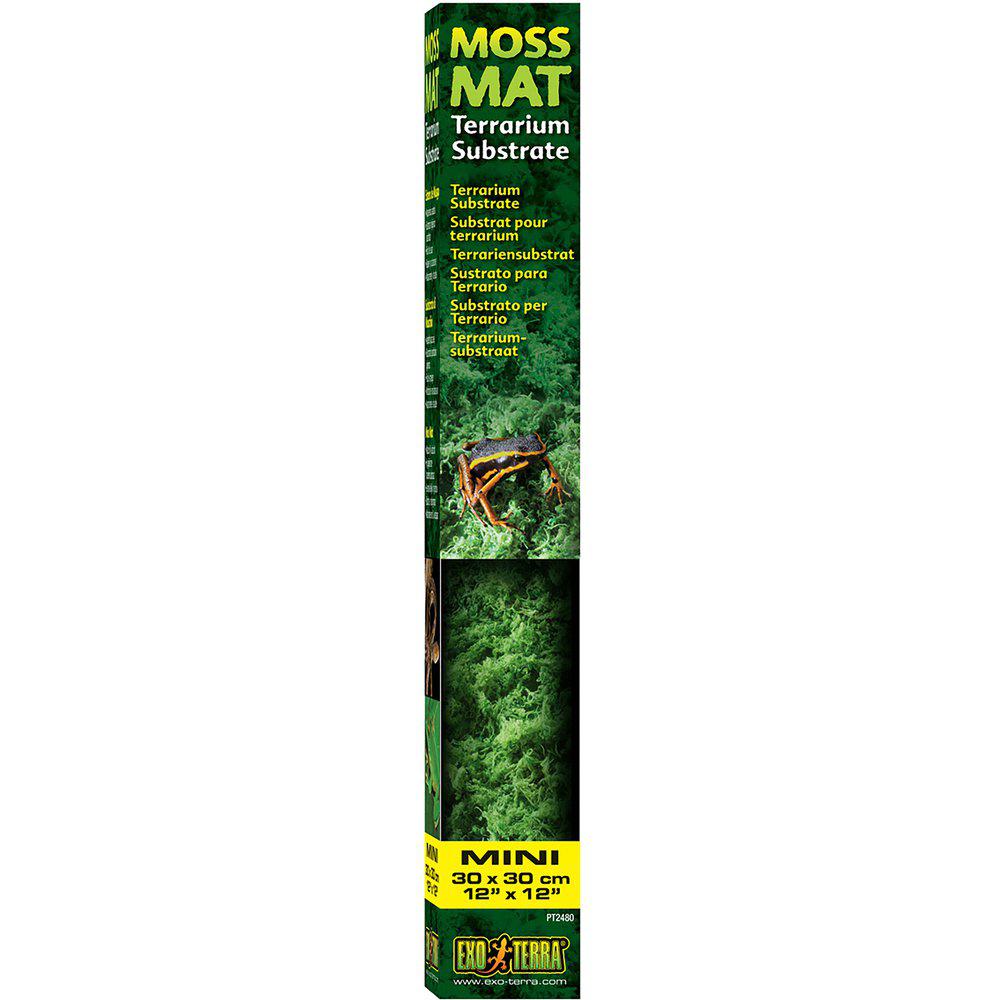Moss Matta Exoterra