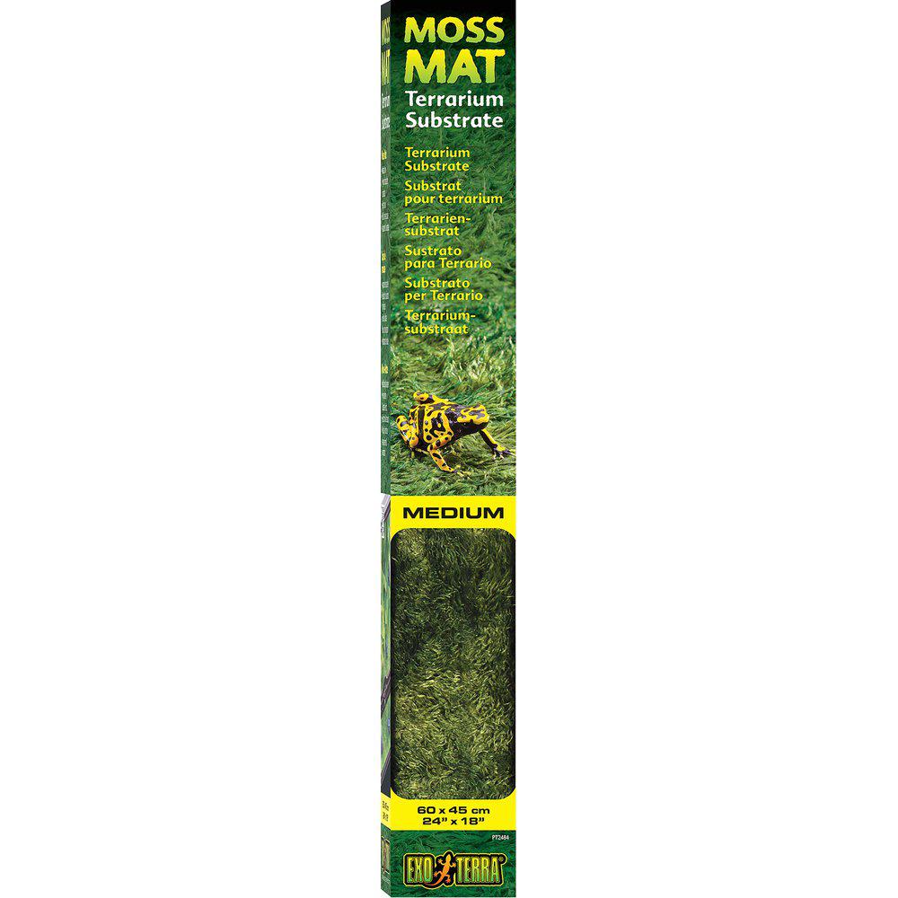 Moss Matta Exoterra