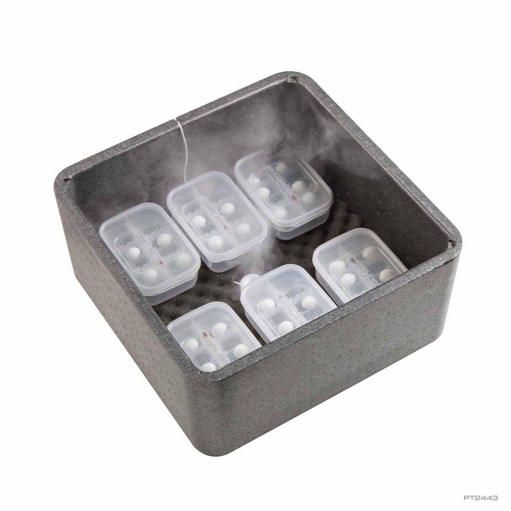 Exoterra Incubatioon Box-reptile Egg
