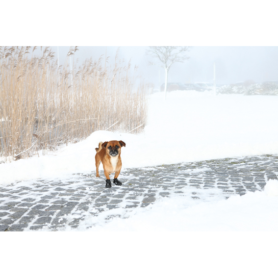 Hundskor Walker Active 2-pack, XS, svart
