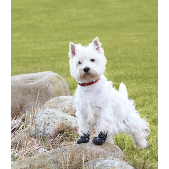 Hundskor Walker Active 2-pack, XS-S, svart