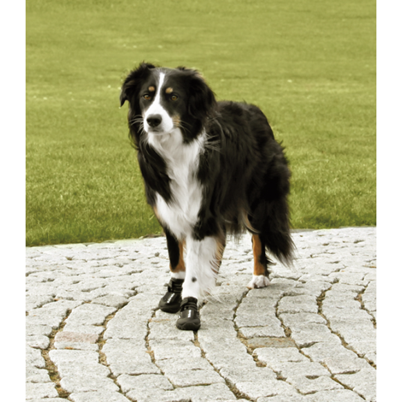 Hundskor Walker Active 2-pack, M-L, svart